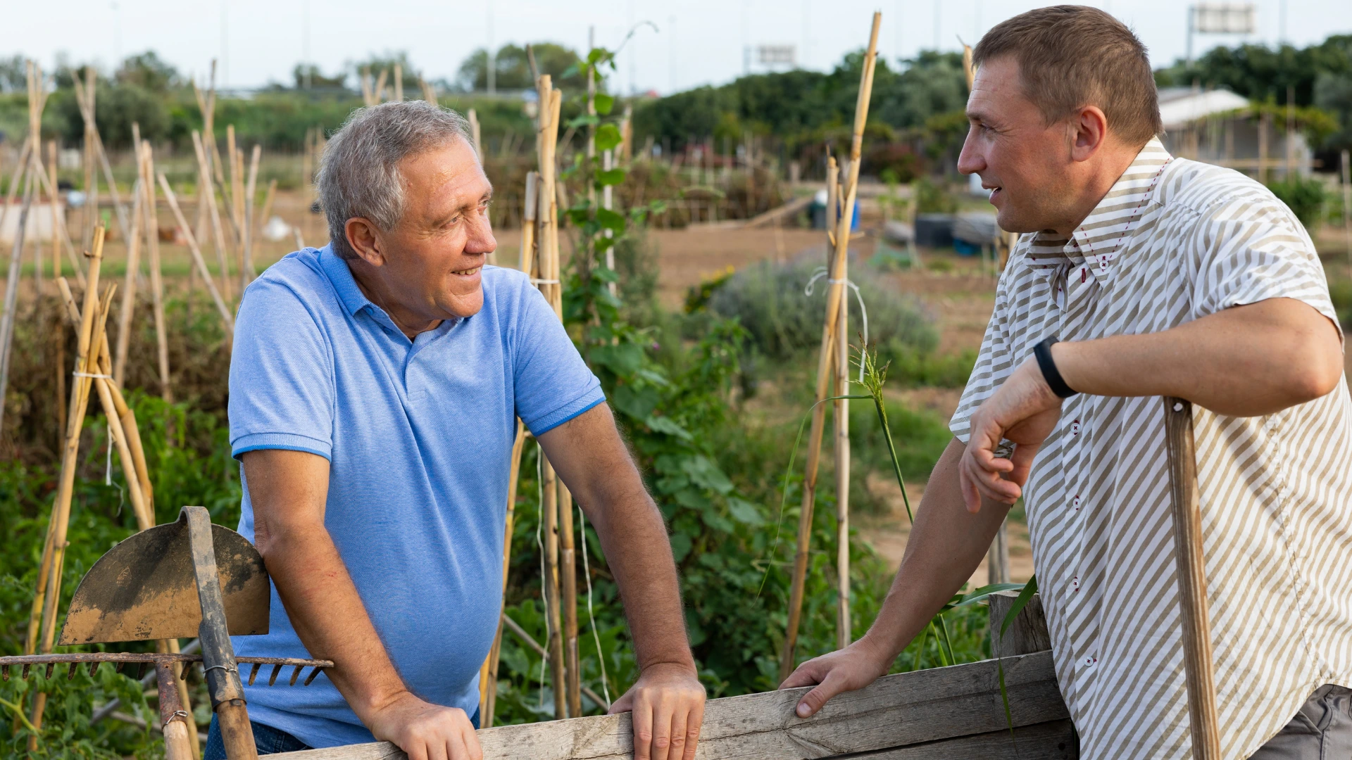 Beitragsentlastung PKV